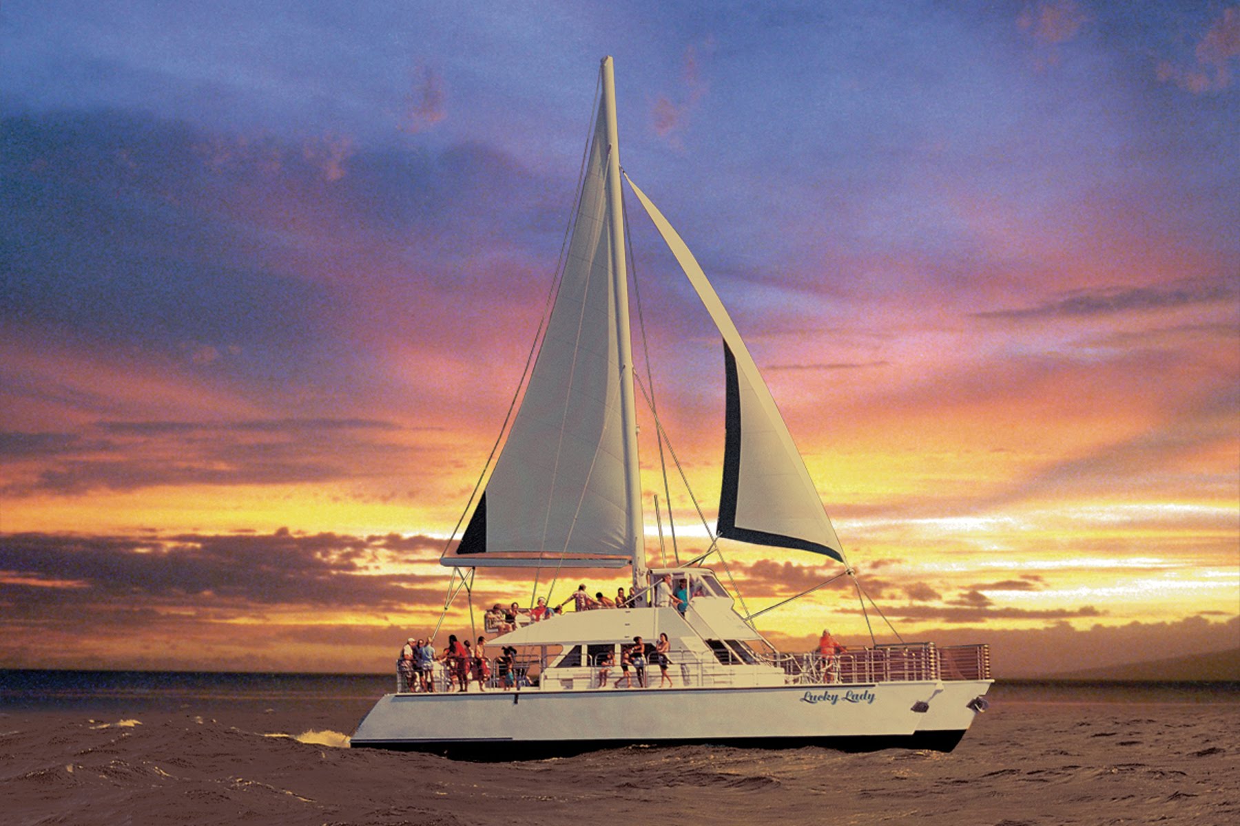 Product South Shore Whale Watch Catamaran Cruise