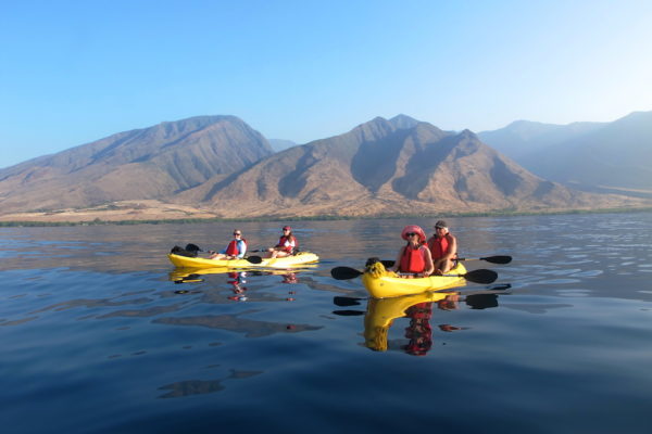 Product Lahaina Paddle