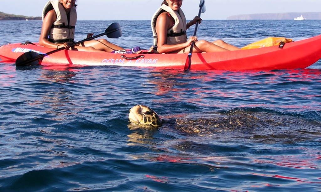Product Turtle Town Makena 3hr