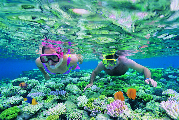 Product Outer Barrier Reef Snorkeling Cruise