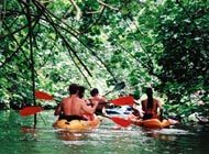 Product Ancient Kayak River Secret Falls Adventure