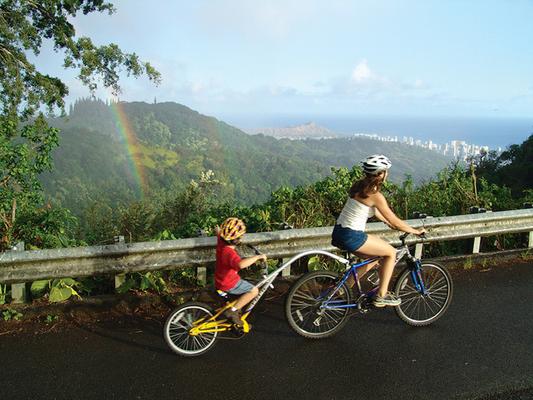 Product Downhill Bike Adventure