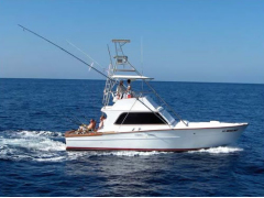 Product Shared Fishing Charter 4 Hours