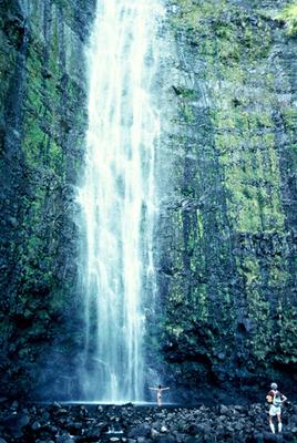 Product Hana Full Day Waterfall Rainforest Hike