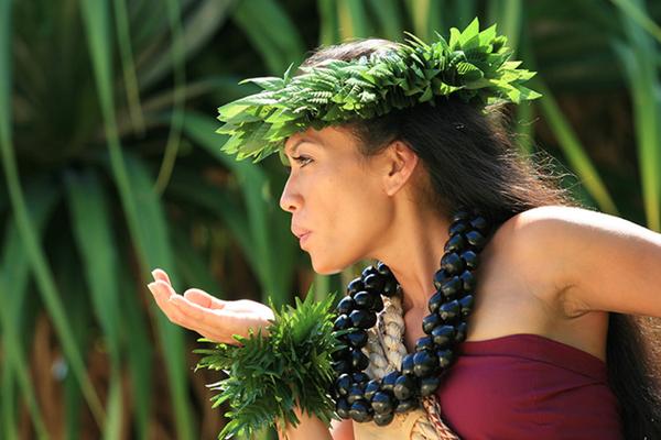Product Haleo Luau