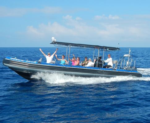 Product Kamanu Whale Watch