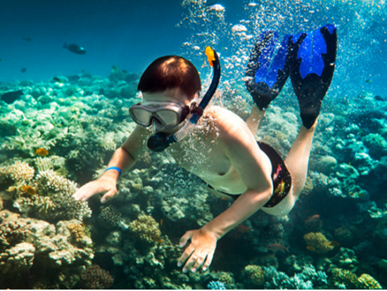 Product Lanai Dolphin Snorkel Experience