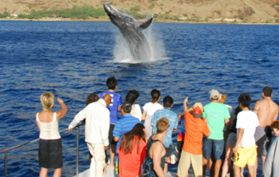 Product Ko Olina Sunset Snorkel (Apr-Sept)