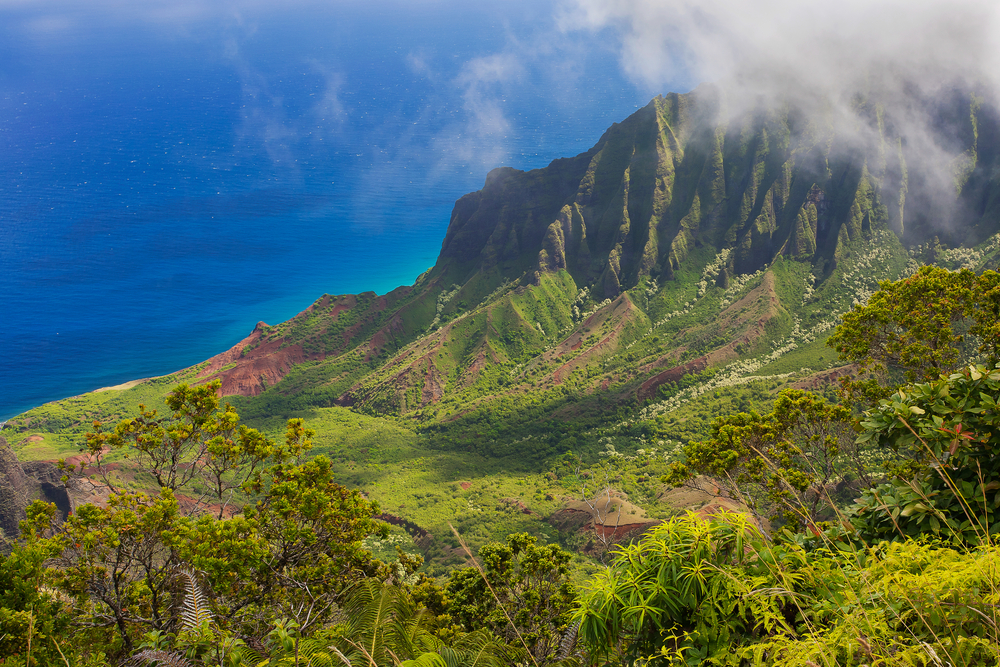 Product Kauai Waimea Canyon Wailua River Experience