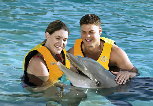 Product Dolphin Encounter 3:15PM