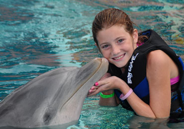 Product Dolphin Encounter 1:45PM