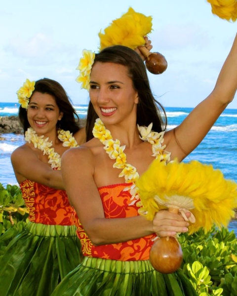 Product Aulii Luau Premier