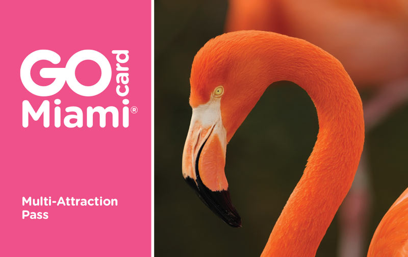 Product Miami Go Card