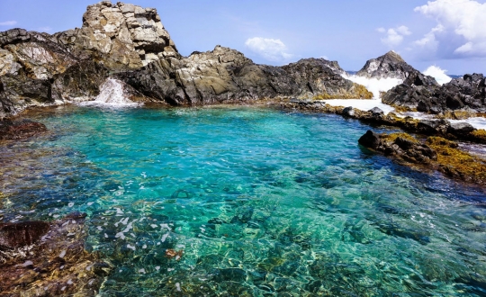 Product Natural Pool Jeep Adventure