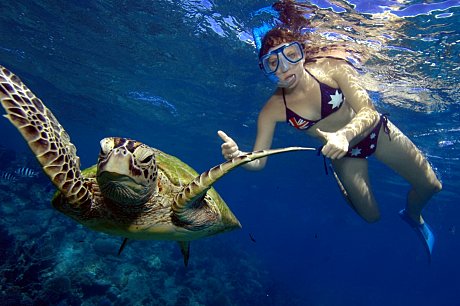 Product Outer Reef Snorkel Full Day
