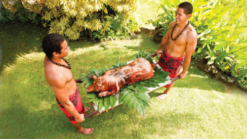 Product Gateway Buffet Motorcoach Trans