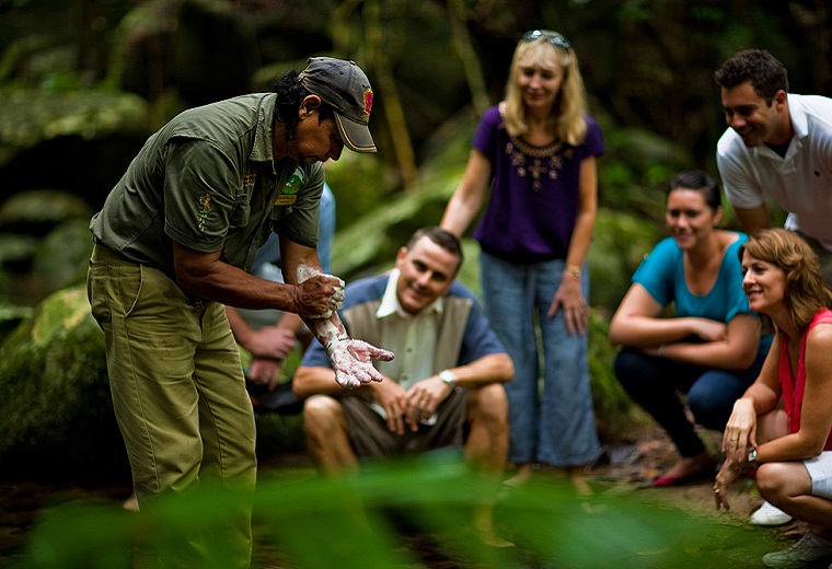 Product 4WD Cape Tribulation & Daintree