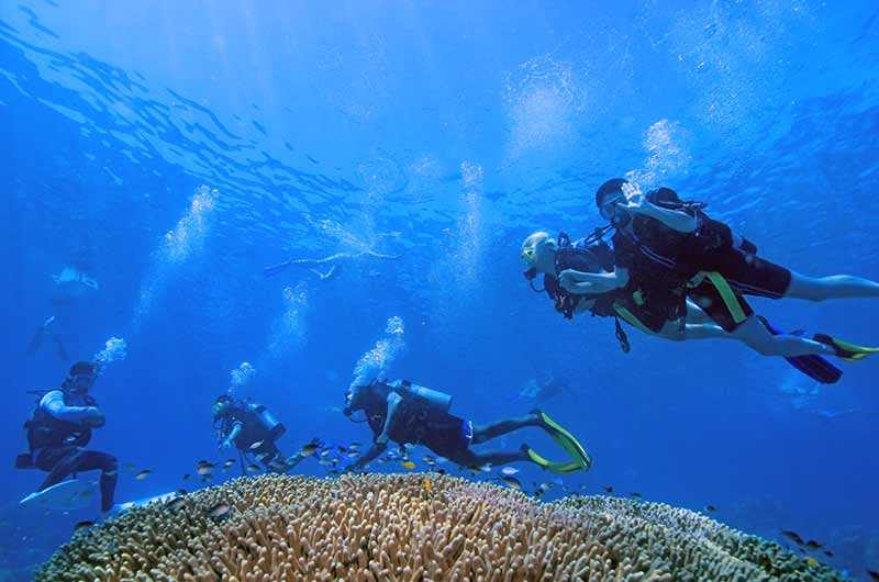 Product Great Barrier Reef - Intro Dive