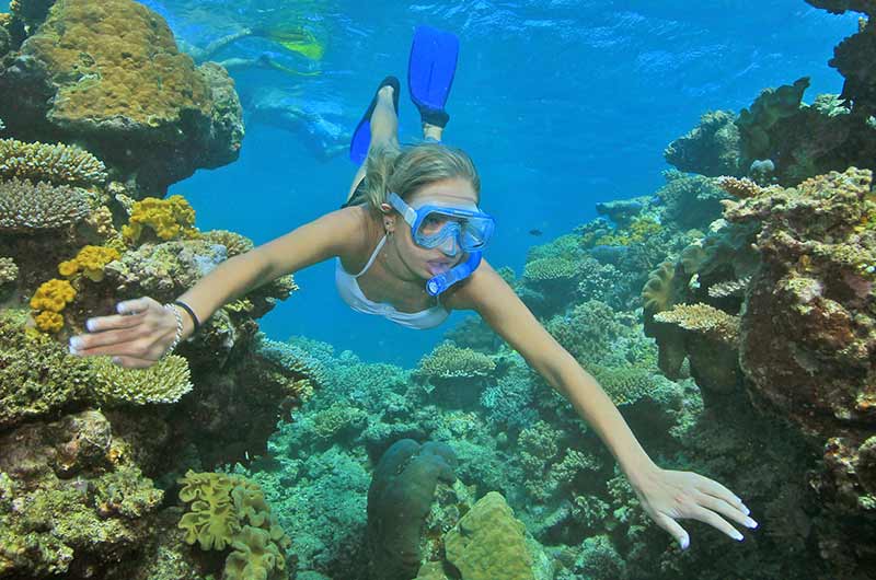 Product Great Barrier Reef - Snorkeler