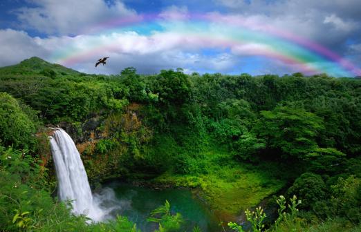 Product Oahu To Big Isle - Grand Circ