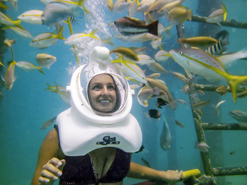 Product Sea Trek