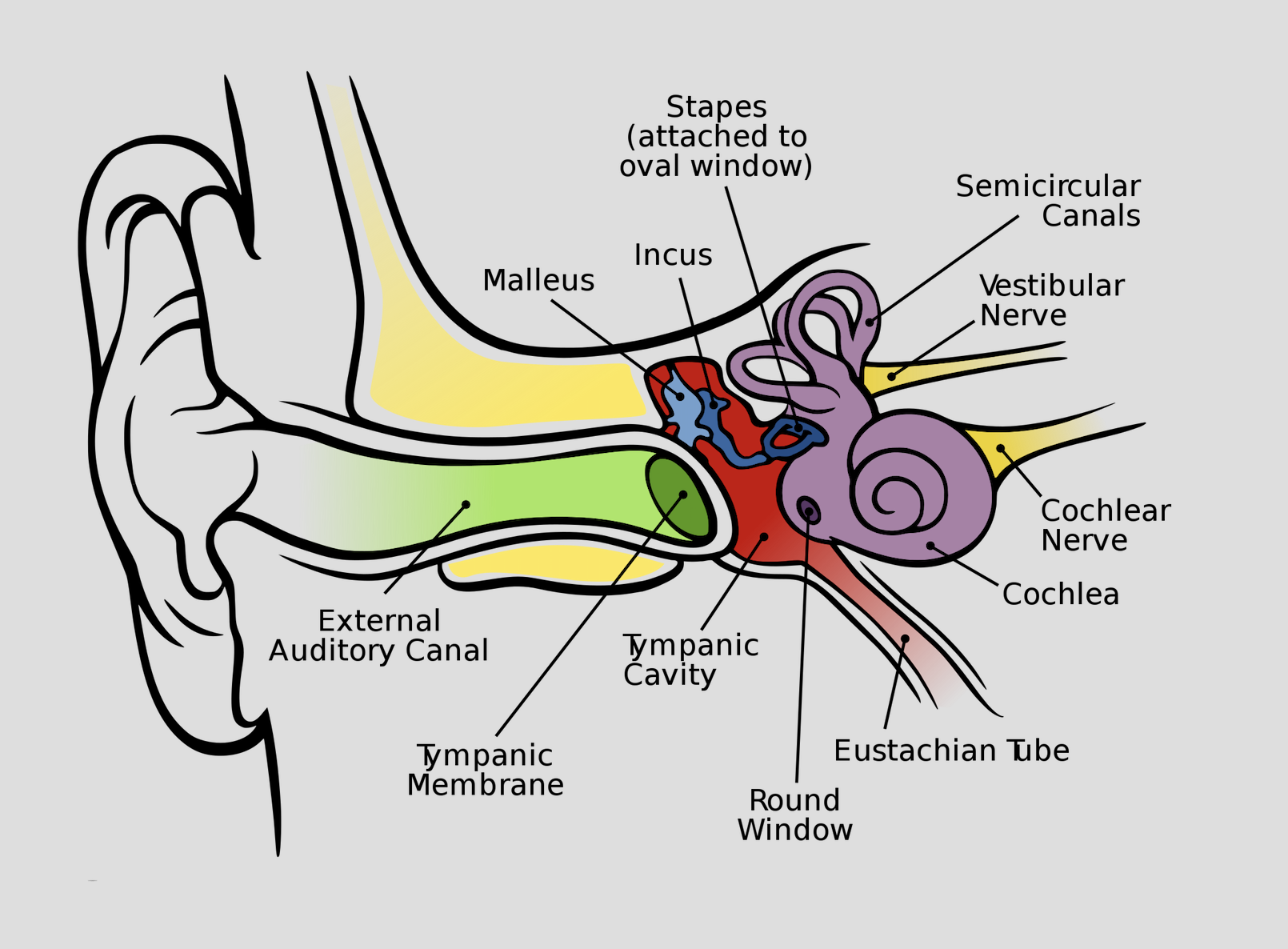 ear crystals vertigo