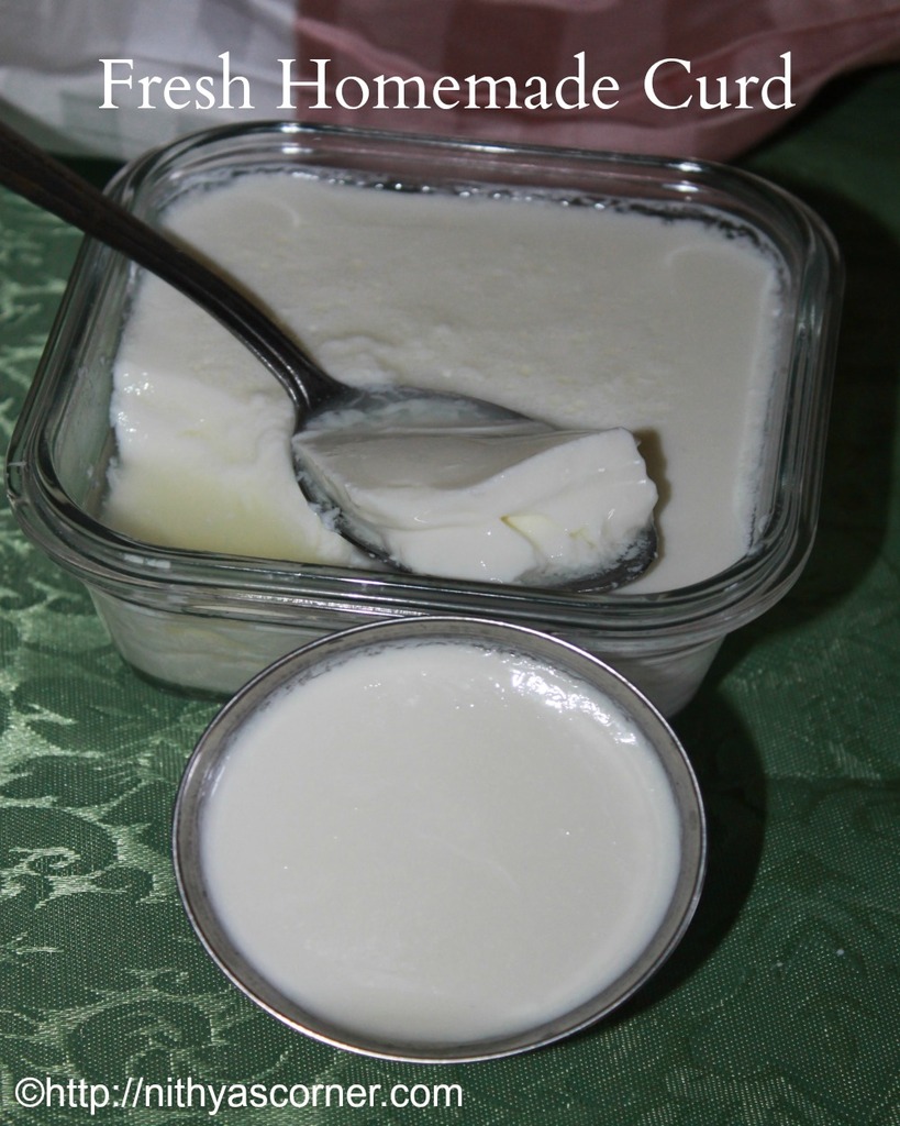 Homemade curd recipe, how to make curd or yogurt or dahi Homemade yogurt recipe