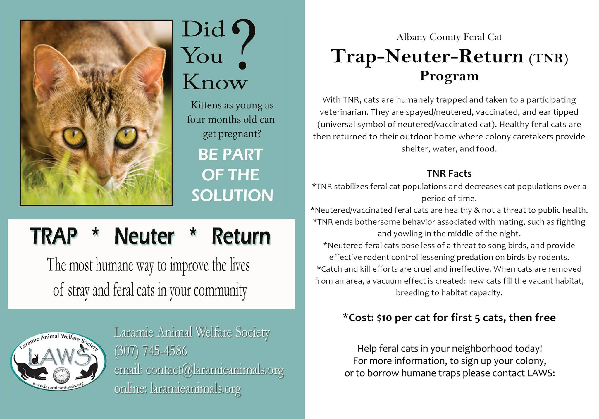 feral cat spay neuter project feral cat spay neuter project