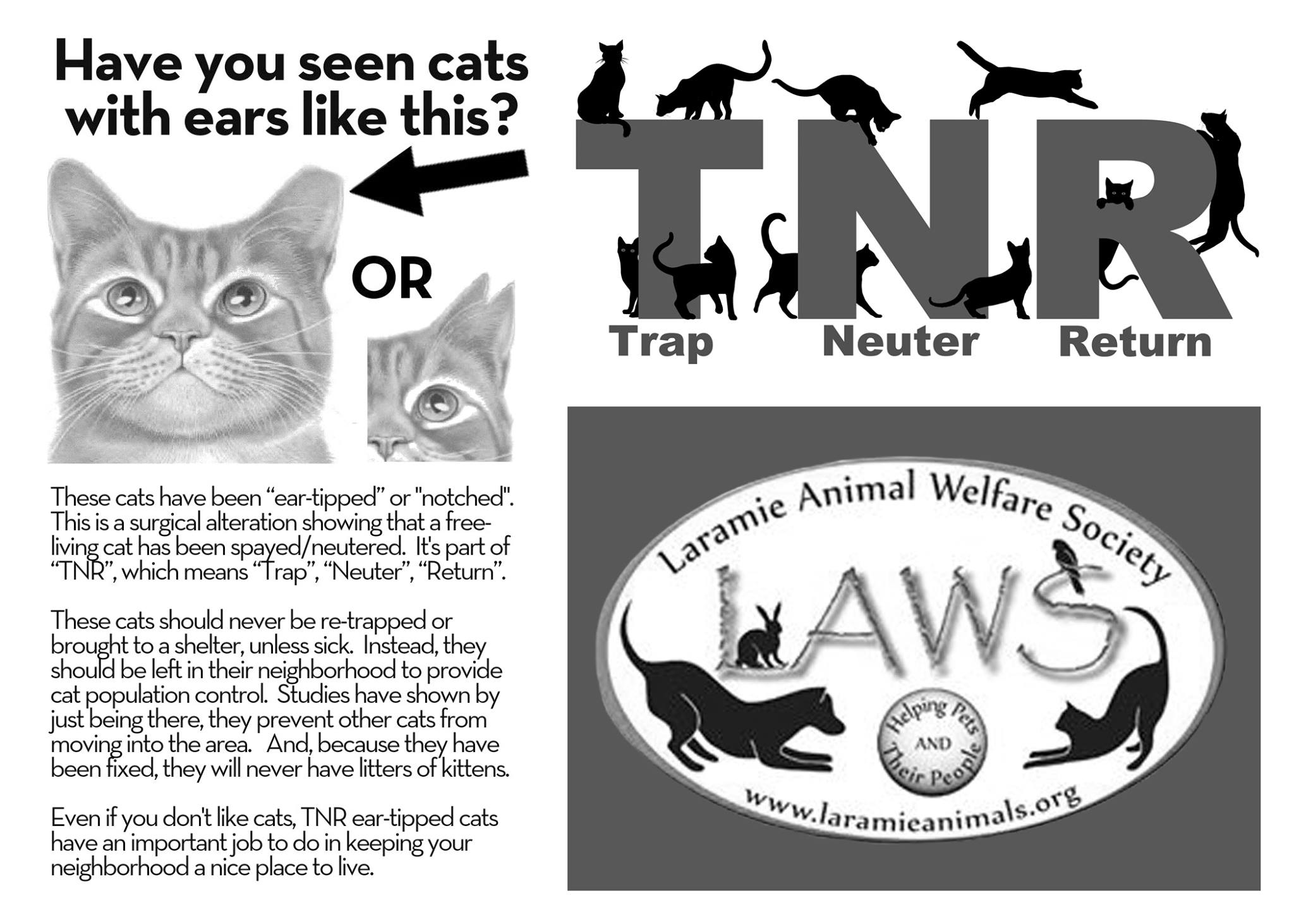 feral cat spay neuter project feral cat spay neuter project