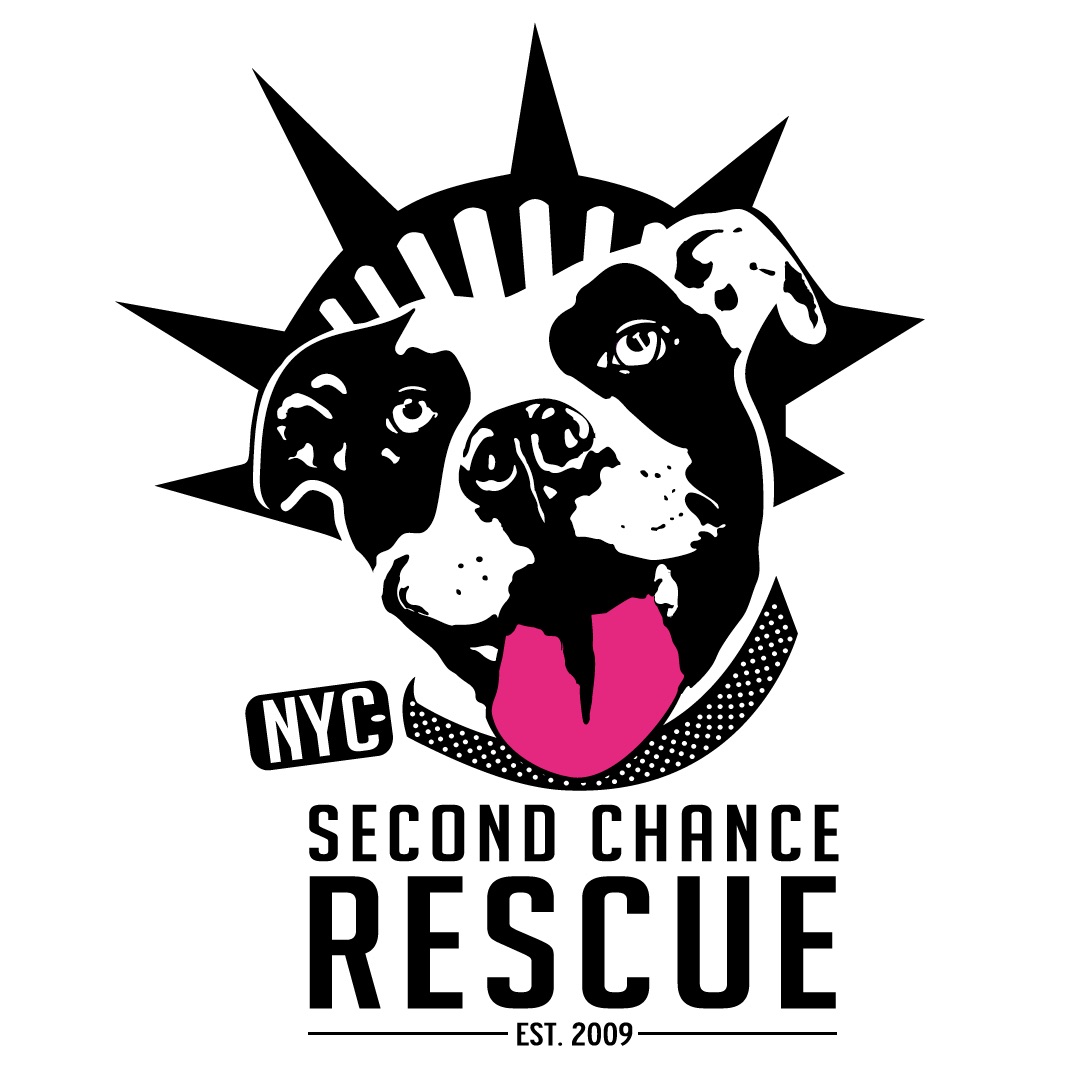 Shelter logo