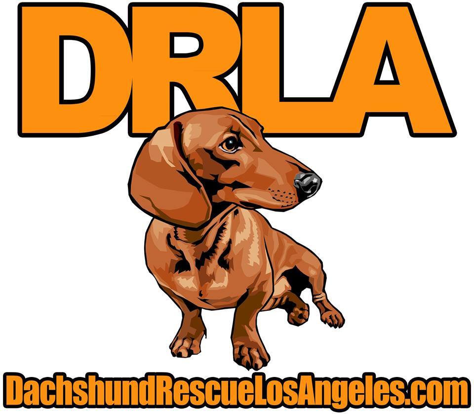 Shelter logo