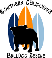 Shelter logo