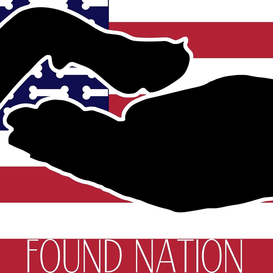 Shelter logo