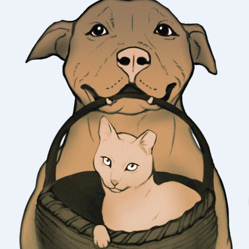 Shelter logo