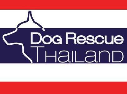 Shelter logo