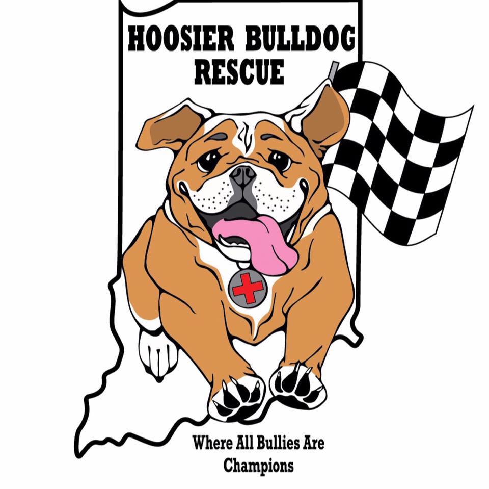 Shelter logo