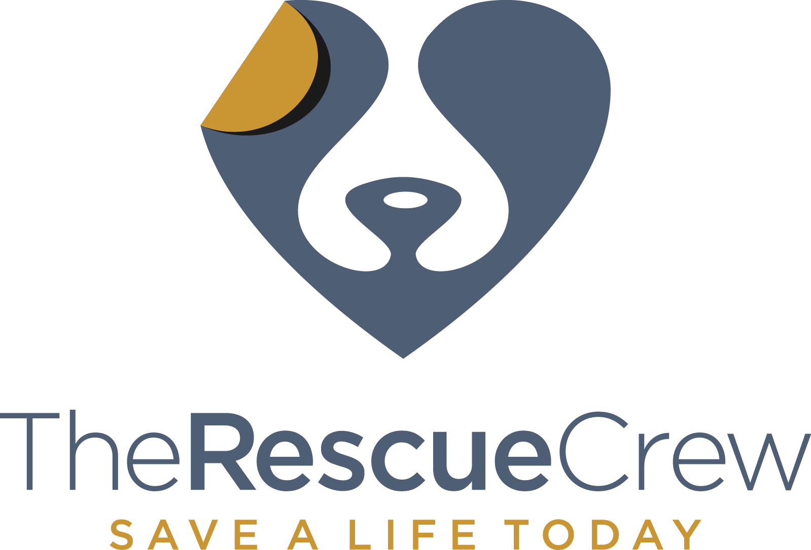 Shelter logo