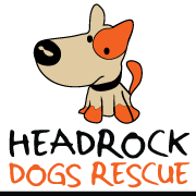 Shelter logo