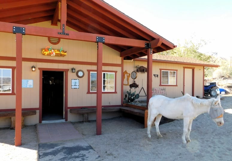 Coyote Ridge Stables