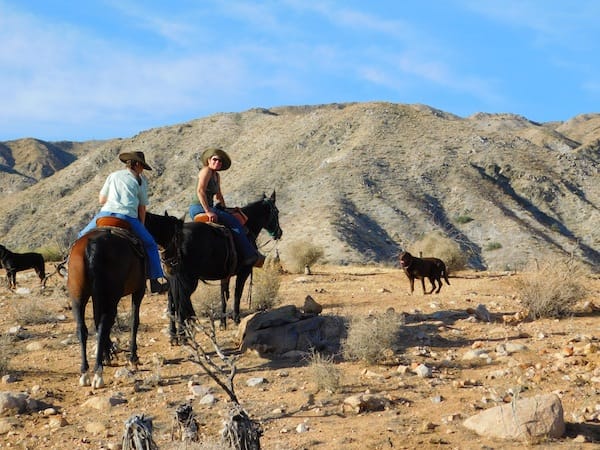 Coyote Ridge Stables
