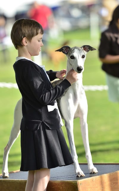 Kennel Club of Palm Springs
