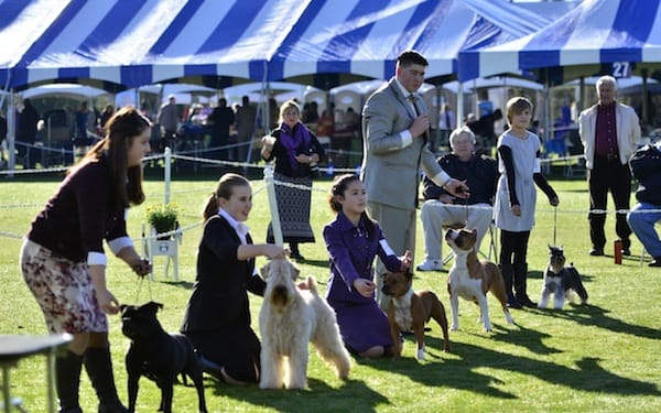 Kennel Club of Palm Springs