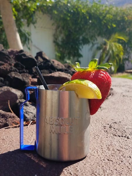 copleysonpalmcanyon
