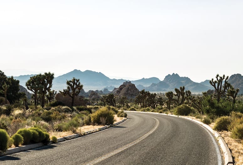 joshua tree national park