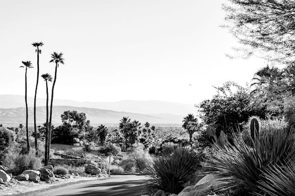 palmspringsjobs
