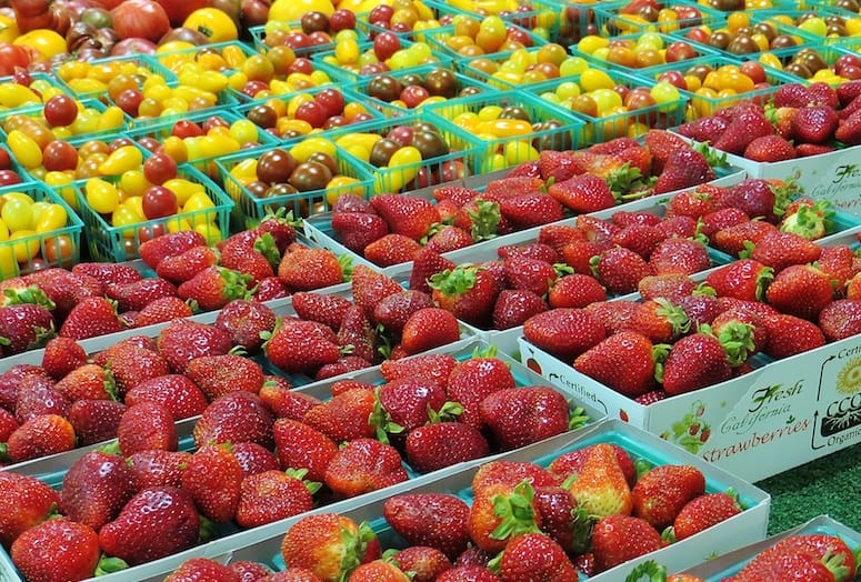 Palm Springs Farmers Market Family Nutrition Day Teaches Foo Highs Make It Tempting To Hide Out And Lay Low But The Certified Farmers Market Held Indoors On Saays Through Mid September In Palm Springs Offers