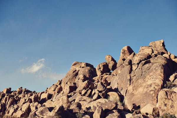 joshuatreedesertlandscape