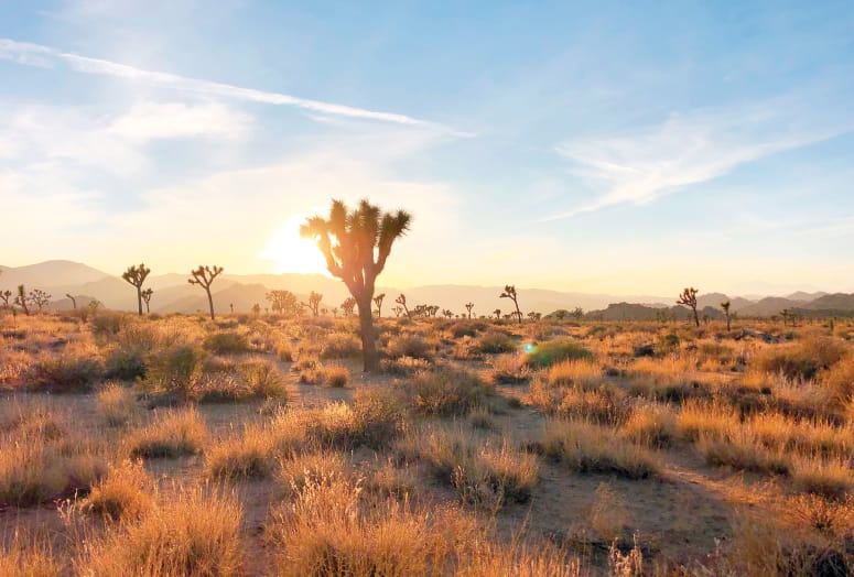 Sunrise Hike