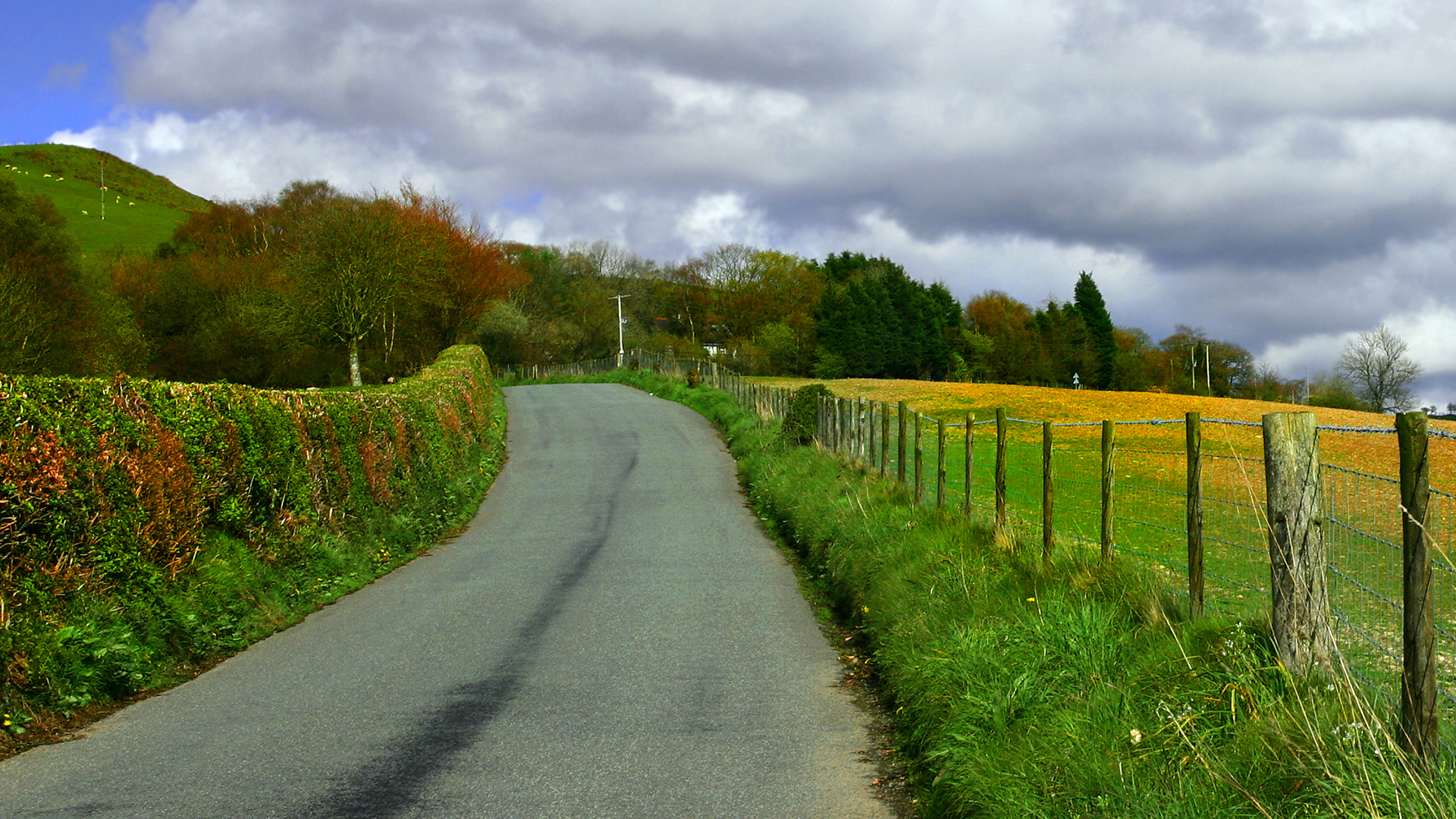 country-road