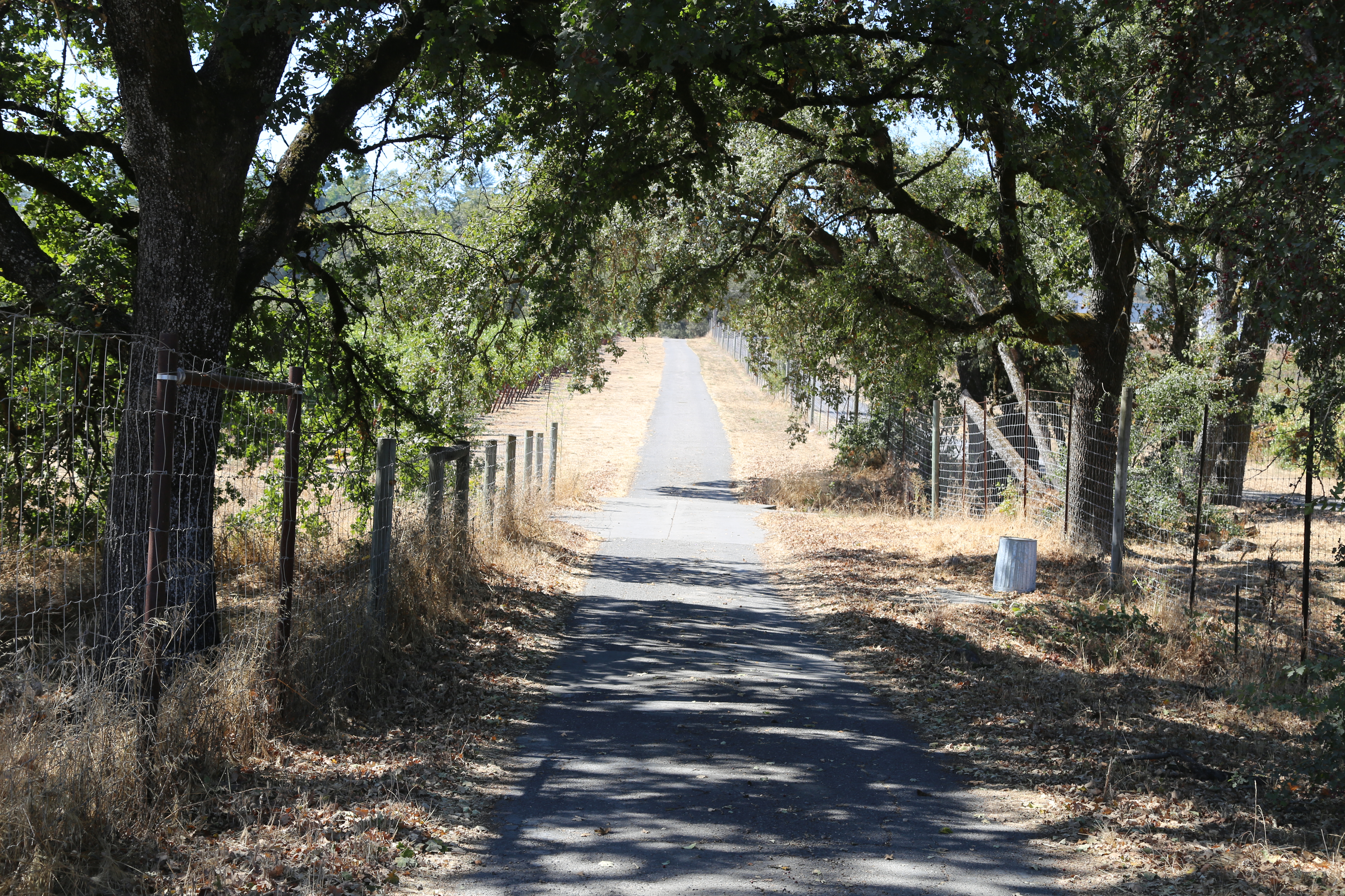 Country Road 2